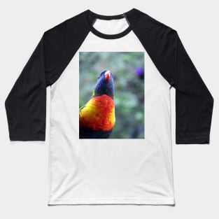 Rainbow Lorikeet Baseball T-Shirt